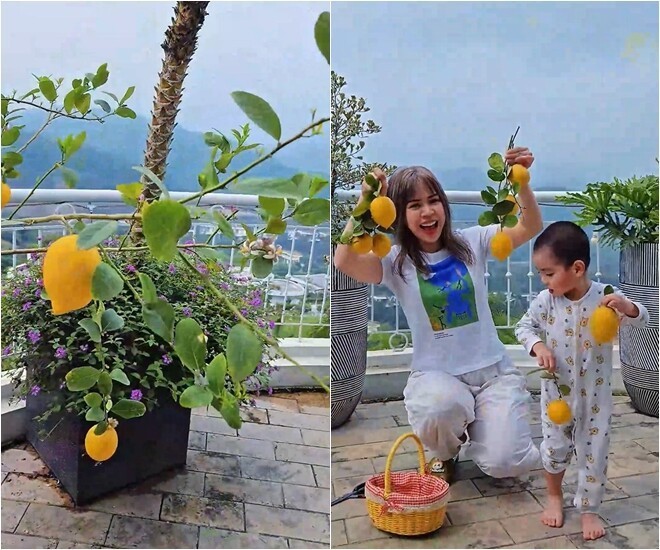 Biệt thự nghỉ dưỡng của nam diễn viên "giờ vàng VTV": Hoa giăng lối, view núi thơ mộng như resort 5 sao- Ảnh 8. Biệt thự nghỉ dưỡng của nam diễn viên "giờ vàng VTV": Hoa giăng lối, view núi thơ mộng như resort 5 sao- Ảnh 8.