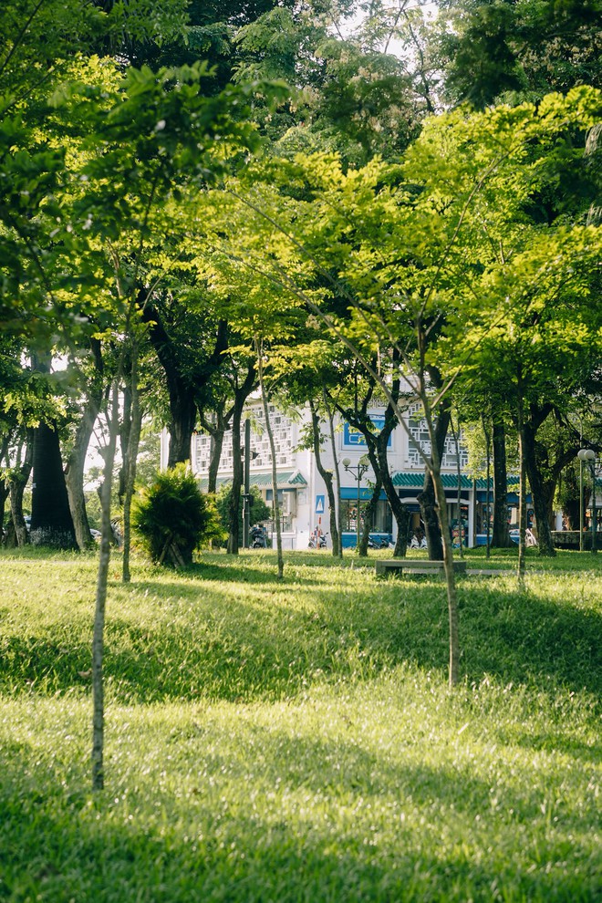 Tấm ảnh không tin nổi là Huế, dân tình rần rần săn lùng địa chỉ "đẹp như phim" này- Ảnh 5. Tấm ảnh không tin nổi là Huế, dân tình rần rần săn lùng địa chỉ "đẹp như phim" này- Ảnh 5.