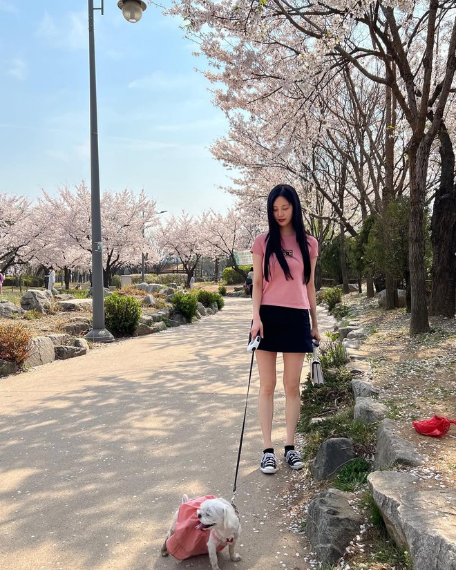 Nữ chính phim cổ trang hot nhất màn ảnh Hàn hiện tại: Visual xinh như mộng, style ngắm là say đắm- Ảnh 10.