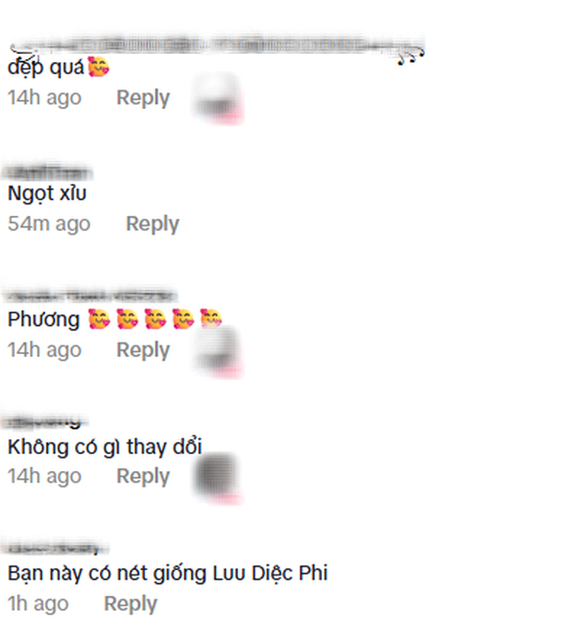 Netizen vừa tìm ra Lưu Diệc Phi Việt Nam, khí chất đúng chuẩn "thần tiên tỷ tỷ"- Ảnh 4.
