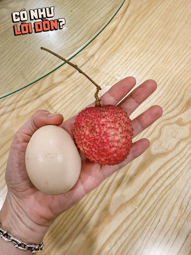 Bỏ 1,2 triệu để mua 5kg vải trứng: Kích thước "khủng" thật nhưng hương vị thế nào?- Ảnh 4.