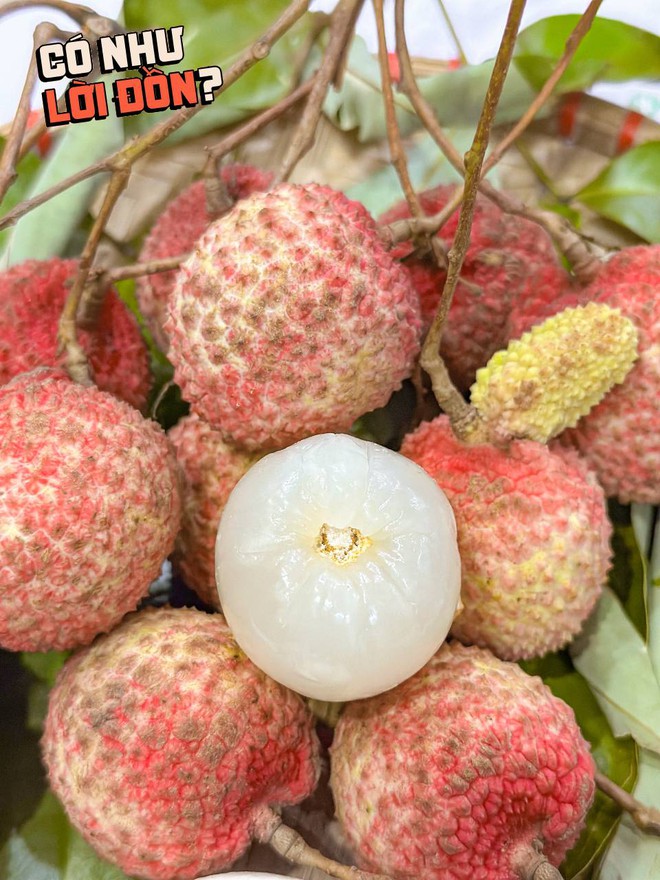Bỏ 1,2 triệu để mua 5kg vải trứng: Kích thước "khủng" thật nhưng hương vị thế nào?- Ảnh 5.