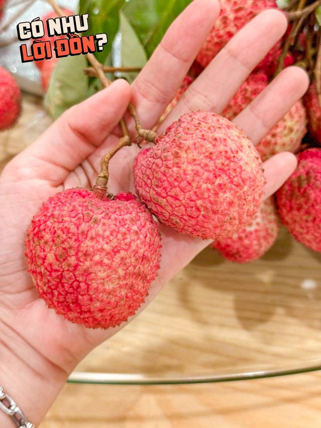 Bỏ 1,2 triệu để mua 5kg vải trứng: Kích thước "khủng" thật nhưng hương vị thế nào?- Ảnh 8.