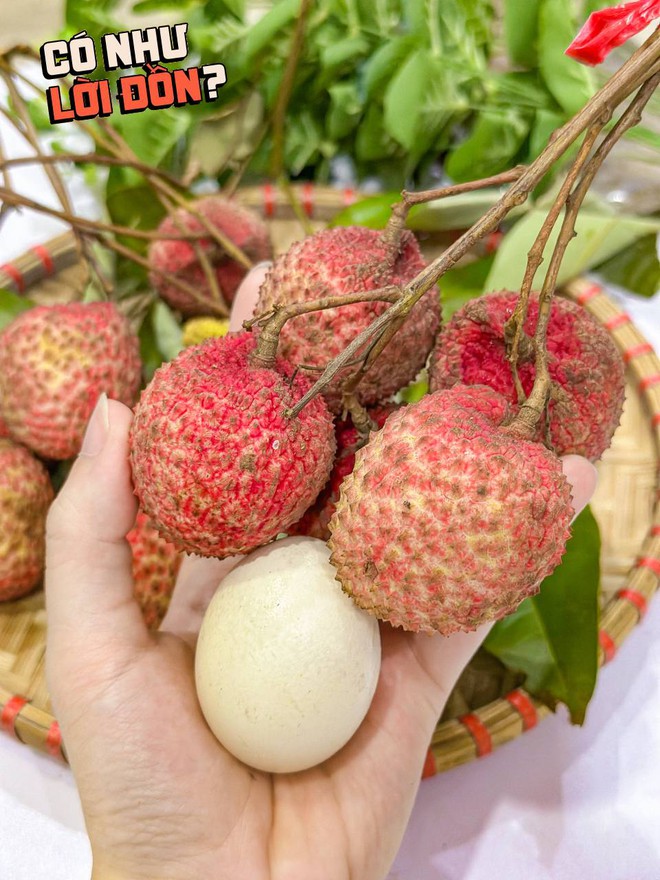 Bỏ 1,2 triệu để mua 5kg vải trứng: Kích thước "khủng" thật nhưng hương vị thế nào?- Ảnh 10.