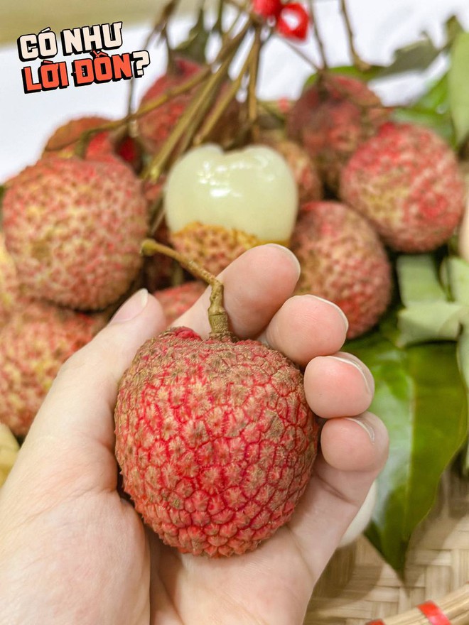 Bỏ 1,2 triệu để mua 5kg vải trứng: Kích thước "khủng" thật nhưng hương vị thế nào?- Ảnh 11.