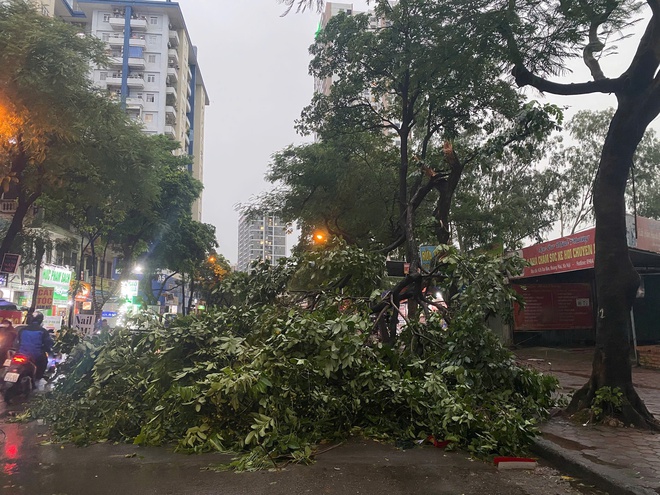 30 phút trở tay không kịp, chủ "chết lặng" khi nhìn cảnh trong biệt thự 2000m2 trước bão Wipha- Ảnh 8.