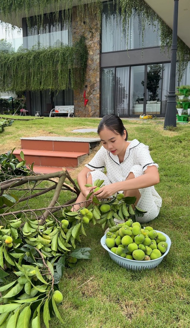 30 phút trở tay không kịp, chủ "chết lặng" khi nhìn cảnh trong biệt thự 2000m2 trước bão Wipha- Ảnh 1.