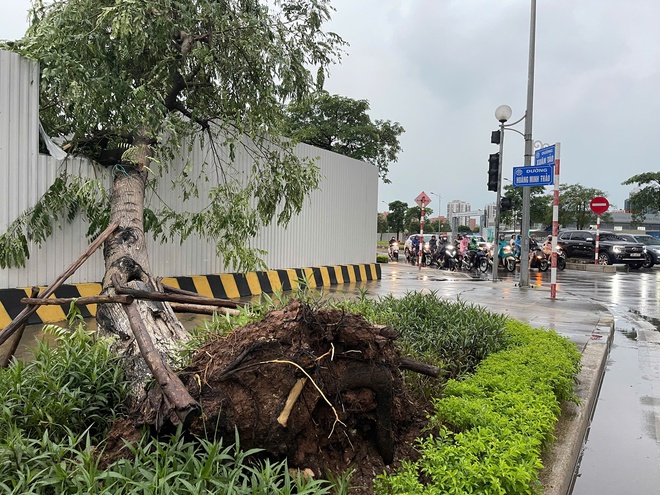 30 phút trở tay không kịp, chủ "chết lặng" khi nhìn cảnh trong biệt thự 2000m2 trước bão Wipha- Ảnh 7.
