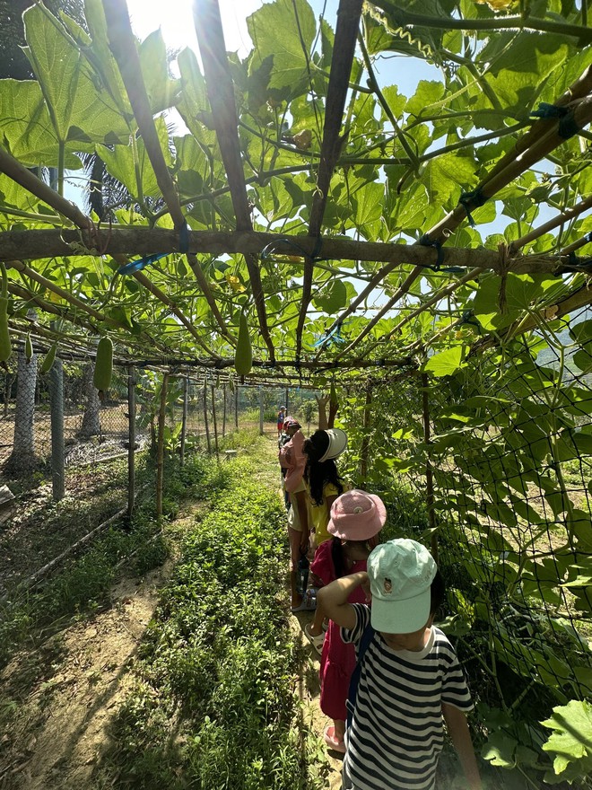 Toàn cảnh dịch vụ trại hè 2025: Phụ huynh chi chục triệu không tiếc, các chủ trại hè tất bật- Ảnh 16.