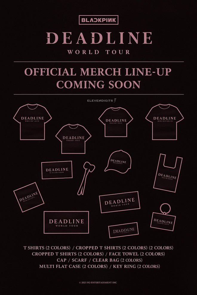 BLACKPINK bán bao nylon giá nửa triệu, fan ngỡ ngàng- Ảnh 4.
