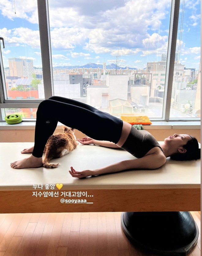 Đẹp cỡ Jisoo (BLACKPINK) còn miệt mài tập môn này "độ dáng", chị em muốn eo thon, dáng đẹp học tập đi thôi!- Ảnh 11. Đẹp cỡ Jisoo (BLACKPINK) còn miệt mài tập môn này "độ dáng", chị em muốn eo thon, dáng đẹp học tập đi thôi!- Ảnh 11.