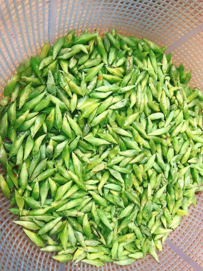 Những món đặc sản từ sâu bọ ở Việt Nam khiến nhiều người "rợn tóc gáy", ai gan dạ mới dám thử- Ảnh 6.