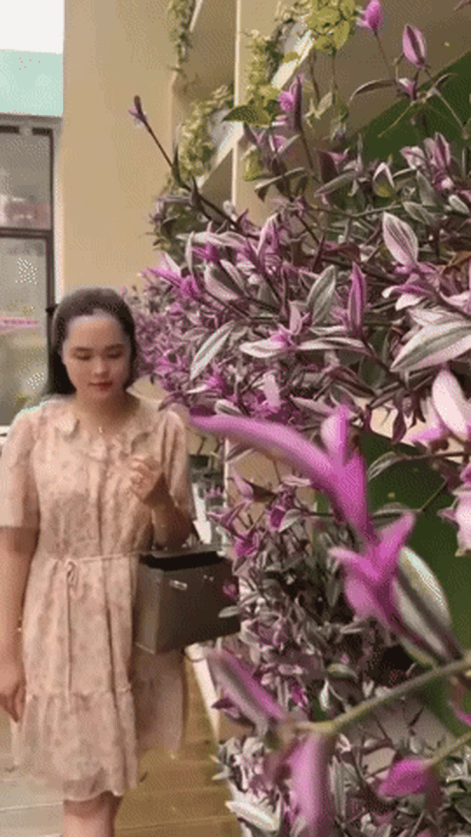 Vợ Duy Mạnh khoe nhan sắc xinh đẹp, ra dáng tiểu thư Hà thành, đã không còn bị chê mặc xấu!- Ảnh 1.