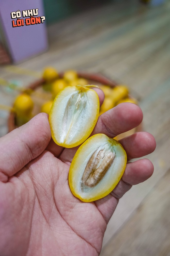 Check var loại quả "cắn dọc thì ngọt, cắn ngang thì chát" đang gây sốt MXH: Liệu hương vị có giống lời đồn?- Ảnh 12. Check var loại quả "cắn dọc thì ngọt, cắn ngang thì chát" đang gây sốt MXH: Liệu hương vị có giống lời đồn?- Ảnh 12.