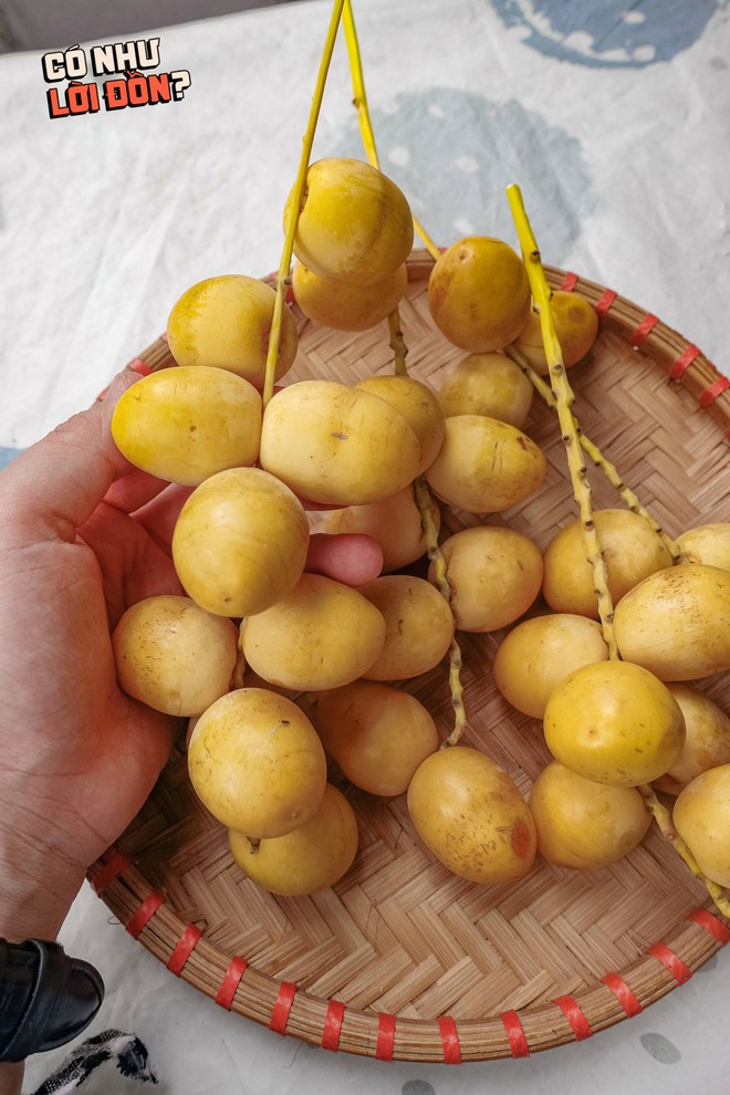 Check var loại quả "cắn dọc thì ngọt, cắn ngang thì chát" đang gây sốt MXH: Liệu hương vị có giống lời đồn?- Ảnh 13. Check var loại quả "cắn dọc thì ngọt, cắn ngang thì chát" đang gây sốt MXH: Liệu hương vị có giống lời đồn?- Ảnh 13.