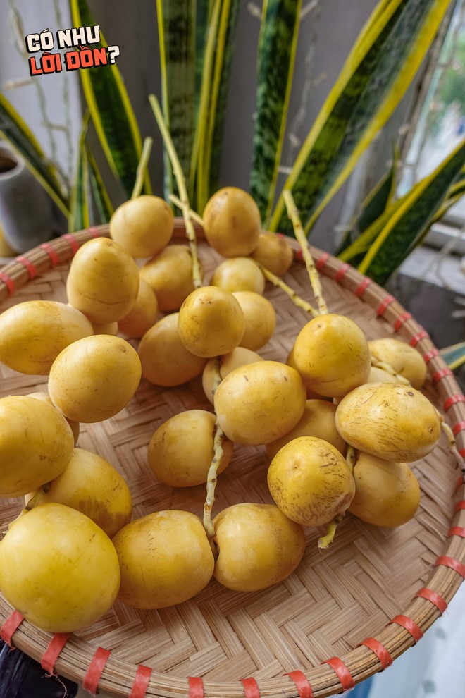Check var loại quả "cắn dọc thì ngọt, cắn ngang thì chát" đang gây sốt MXH: Liệu hương vị có giống lời đồn?- Ảnh 14. Check var loại quả "cắn dọc thì ngọt, cắn ngang thì chát" đang gây sốt MXH: Liệu hương vị có giống lời đồn?- Ảnh 14.