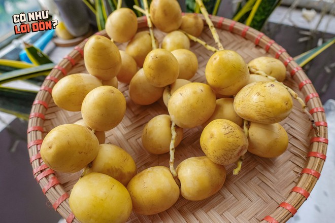 Check var loại quả "cắn dọc thì ngọt, cắn ngang thì chát" đang gây sốt MXH: Liệu hương vị có giống lời đồn?- Ảnh 15. Check var loại quả "cắn dọc thì ngọt, cắn ngang thì chát" đang gây sốt MXH: Liệu hương vị có giống lời đồn?- Ảnh 15.