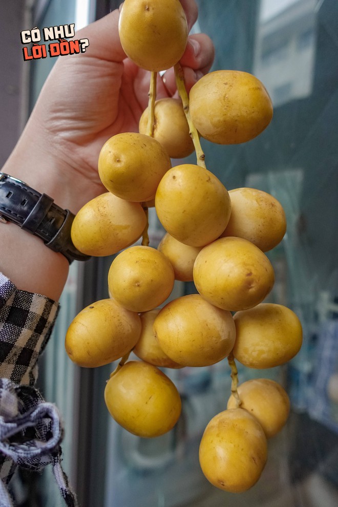 Check var loại quả "cắn dọc thì ngọt, cắn ngang thì chát" đang gây sốt MXH: Liệu hương vị có giống lời đồn?- Ảnh 3. Check var loại quả "cắn dọc thì ngọt, cắn ngang thì chát" đang gây sốt MXH: Liệu hương vị có giống lời đồn?- Ảnh 3.
