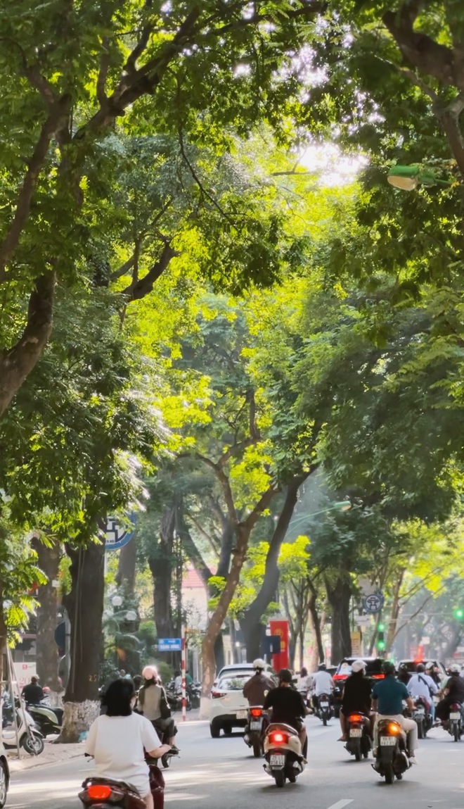 Chuyện lạ giữa mùa hè Hà Nội: Nắng 40 độ nhưng có 1 nơi dân tình "đốt cháy giai đoạn" để bắt trend mùa thu- Ảnh 7.