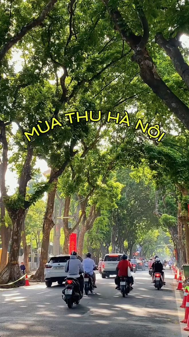 Chuyện lạ giữa mùa hè Hà Nội: Nắng 40 độ nhưng có 1 nơi dân tình "đốt cháy giai đoạn" để bắt trend mùa thu- Ảnh 2.
