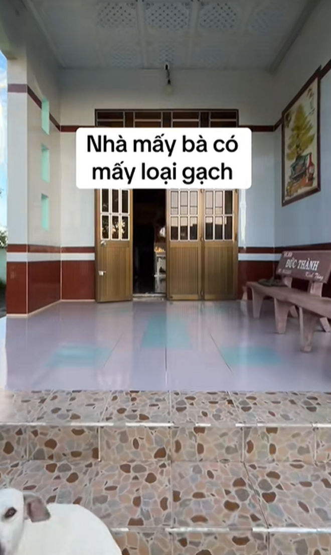 "Đặc sản" nhà miền Tây: Lát nhiều loại gạch từ sân cho đến nhà sau, còn muốn lát ra tới đường lộ- Ảnh 7.