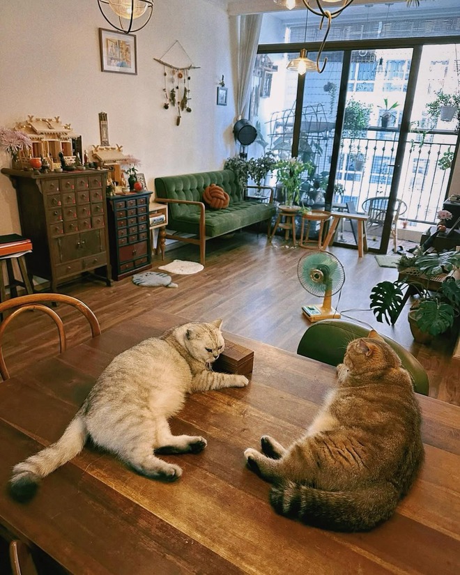 Hóa ra đây là tổ ấm của Jun Phạm: Rộng 75m², góc nào cũng ấm áp, chữa lành như đang sống trong Anime!- Ảnh 6.