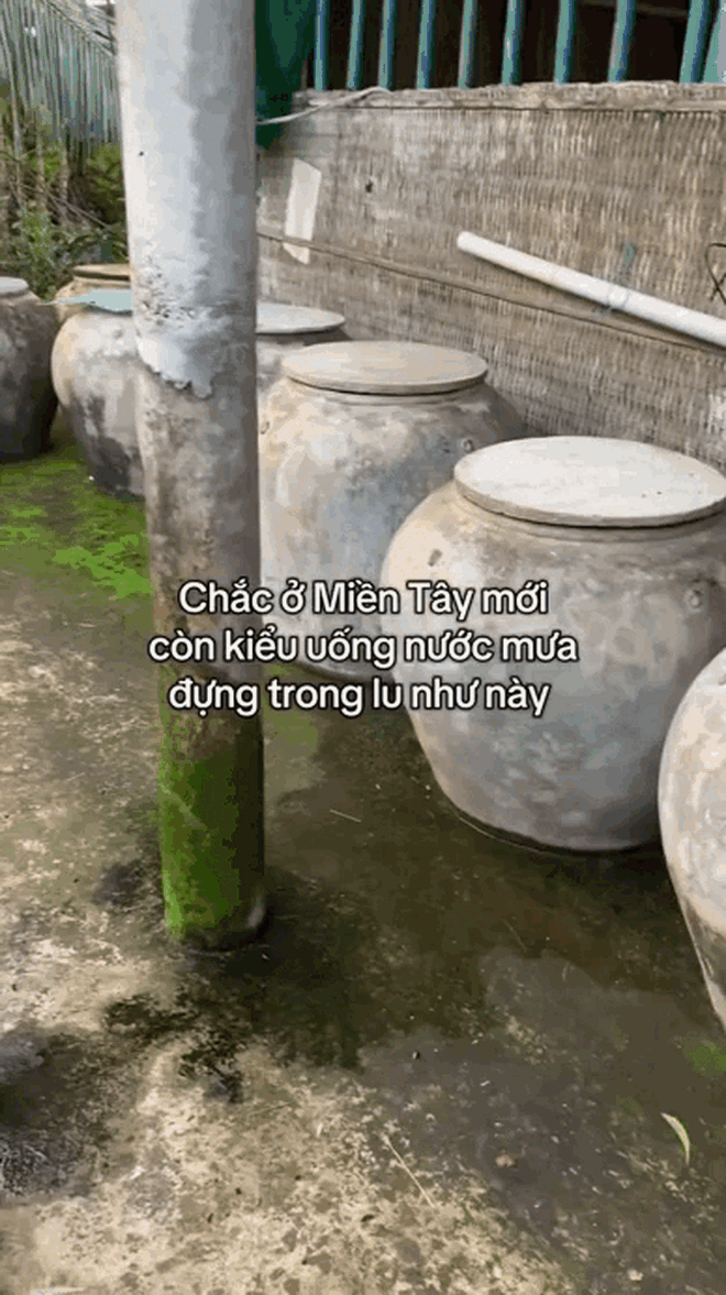 "Đặc sản" trong nhà người miền Tây, cả nước muốn biết đáp án- Ảnh 3.