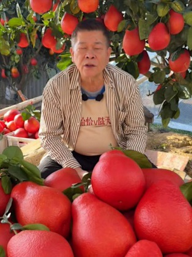 Nam diễn viên cả nước biết mặt phá sản vì món nợ 191 tỷ, nay về quê bán trứng, trái cây đầy chua xót- Ảnh 2.