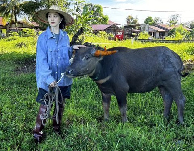 Hết cứu Phạm Băng Băng- Ảnh 5.