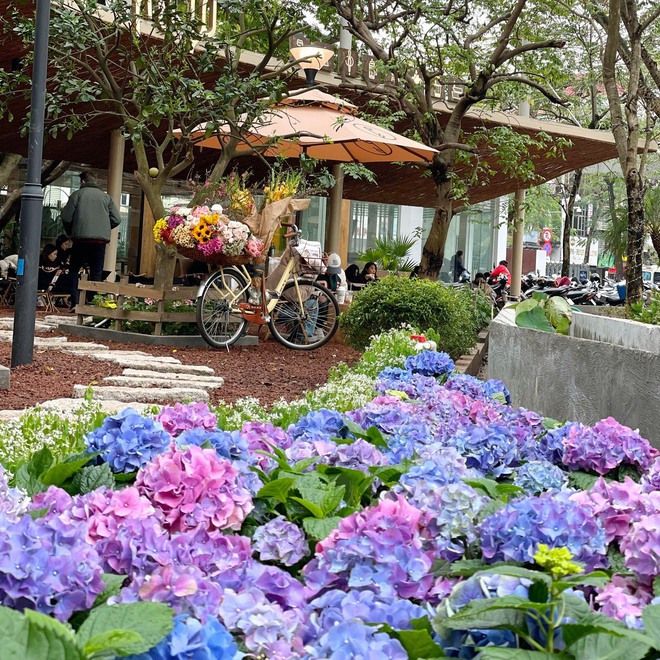 3 quán cà phê nằm gọn trong khuôn viên Bảo tàng Hồ Chí Minh, giới trẻ Thủ đô thi nhau truyền tai- Ảnh 4.