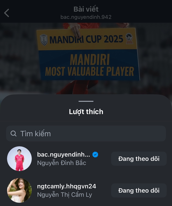 Á hậu Cẩm Ly phản ứng gì khi được gọi là "người yêu Đình Bắc"?- Ảnh 6.