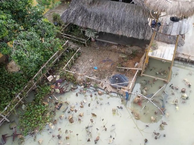 Kỳ tích hồi sinh một làng nghề 30.000 mét vuông ở Nha Trang sau lũ lịch sử và màn "comeback" dịp Tết- Ảnh 1.