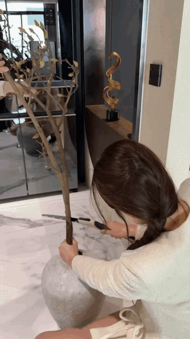 Cái Tết đầu tiên của Đỗ Hà và Viết Vương- Ảnh 4.