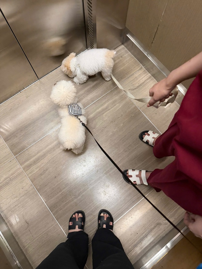 Cách Thiên Ân dùng 150 triệu "đánh dấu chủ quyền" với Kỳ Duyên- Ảnh 9.