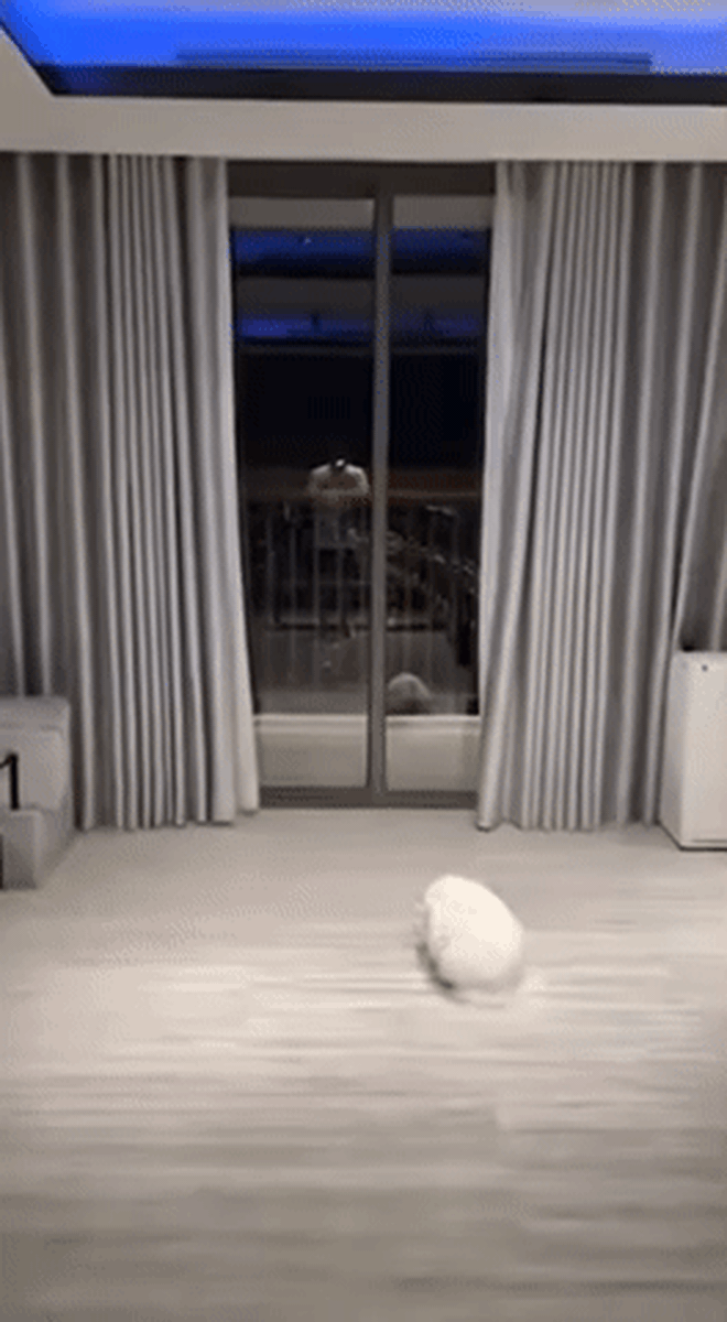 Chuyện gì đang xảy ra ở nhà của Trấn Thành?- Ảnh 6.