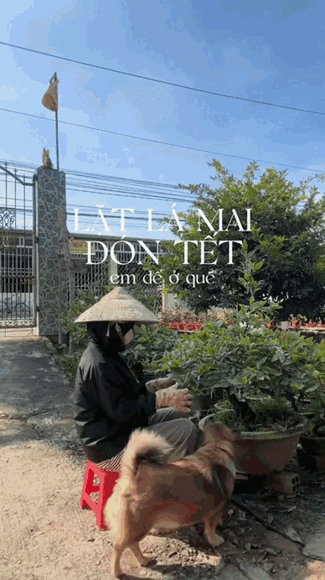 "Đặc sản Tết" của người miền Tây, cả nước tò mò- Ảnh 2.