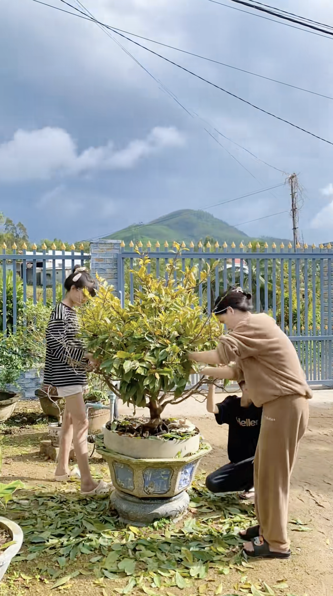 Cận cảnh rước "cây vàng" khổng lồ về ăn Tết ở miền Tây, cả nước ngưỡng mộ- Ảnh 6.