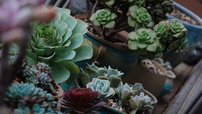 BTV kỳ cựu rời đài truyền hình vì áp lực: Dốc sạch tiền mua nhà "chữa lành", sống 1 mình hạnh phúc- Ảnh 7.