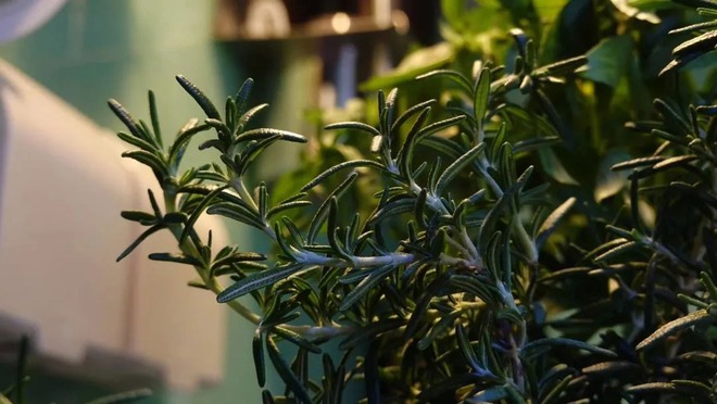 BTV kỳ cựu rời đài truyền hình vì áp lực: Dốc sạch tiền mua nhà "chữa lành", sống 1 mình hạnh phúc- Ảnh 10.