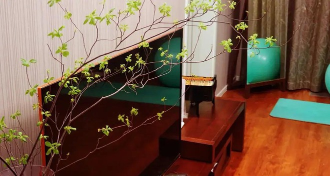 BTV kỳ cựu rời đài truyền hình vì áp lực: Dốc sạch tiền mua nhà "chữa lành", sống 1 mình hạnh phúc- Ảnh 14.