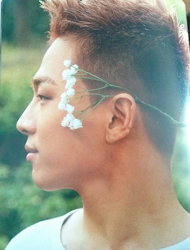 Viral bộ ảnh cưới với ngựa đẹp mê mẩn, 8 năm trước đã khuynh đảo cả làng giải trí châu Á- Ảnh 9.