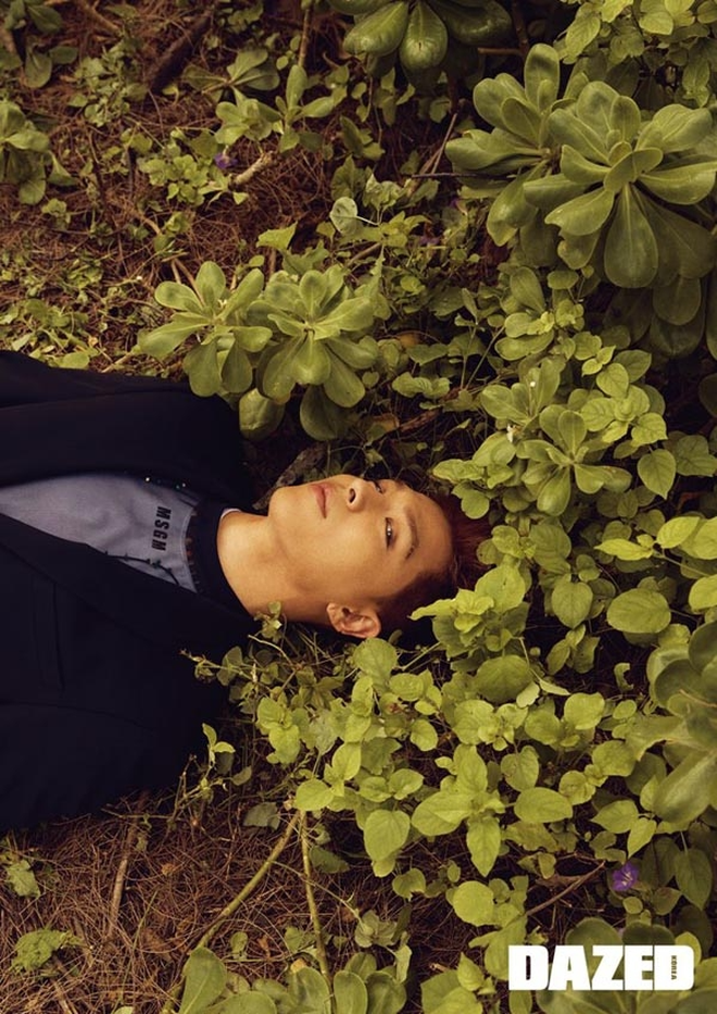 Viral bộ ảnh cưới với ngựa đẹp mê mẩn, 8 năm trước đã khuynh đảo cả làng giải trí châu Á- Ảnh 7.