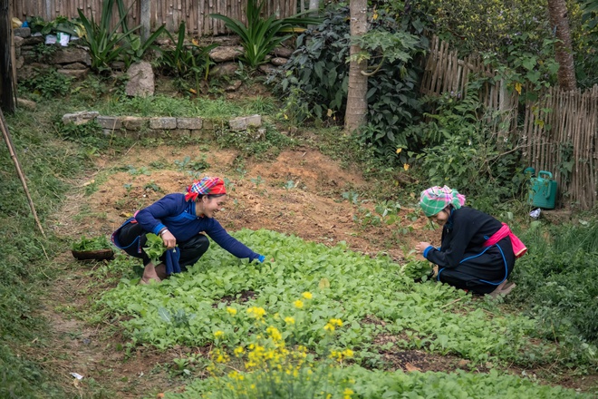 Thăm nhà chị Thông chiều cuối năm: Cầu gì hơn một bữa cơm gia đình sum vầy ấm cúng sau những ngày bận rộn!- Ảnh 3.