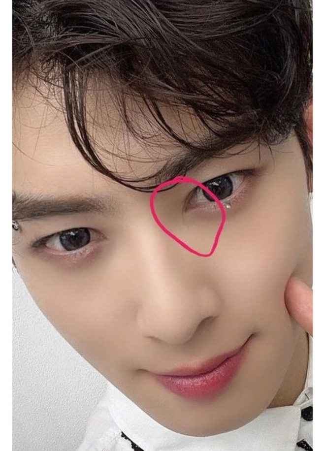 "Thiên tài khuôn mặt" Cha Eun Woo bị nghi phẫu thuật thẩm mỹ: Tài sản quý nhất cũng là giả?- Ảnh 9.