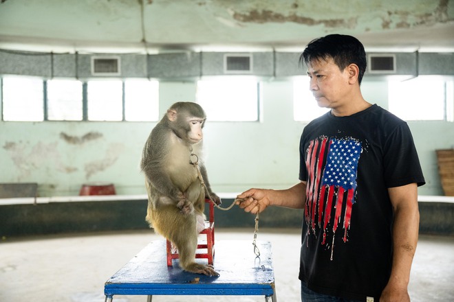 Đi thăm trâu, khỉ, ngựa... giữa trung tâm Thủ đô và nghe những chuyện thấy "bận lòng"- Ảnh 14.
