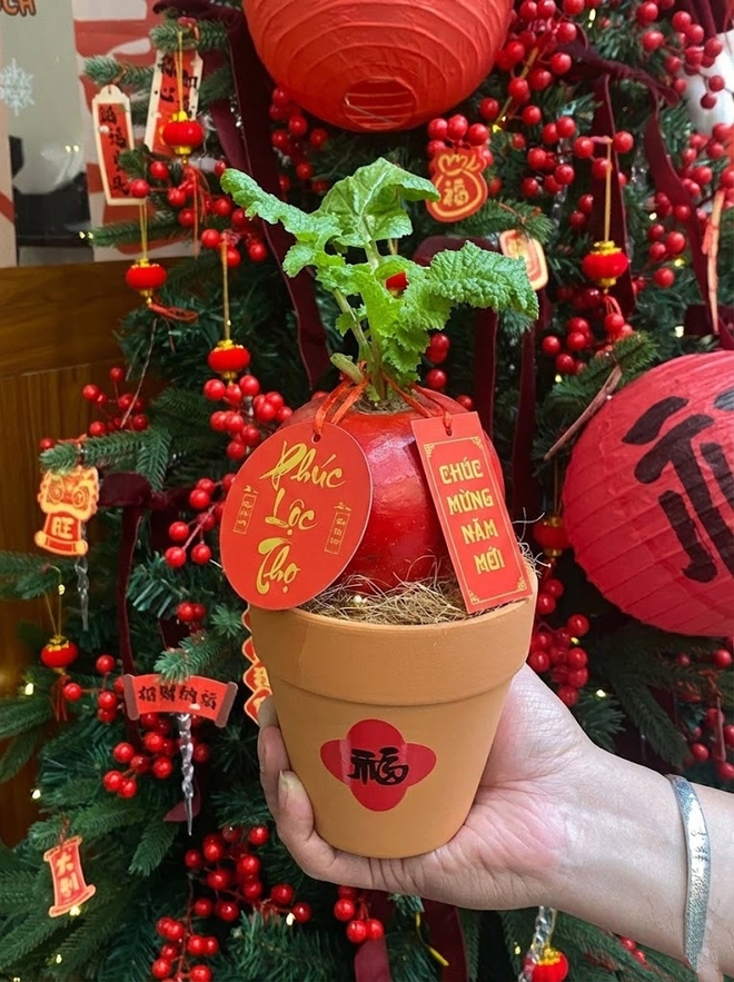 Trend lạ đón Tết: Ra chợ mua củ cải đỏ về cắm bình, ai ngờ thành chậu "Hồng Vận Đương Đầu" hút lộc cực xinh!- Ảnh 12. Trend lạ đón Tết: Ra chợ mua củ cải đỏ về cắm bình, ai ngờ thành chậu "Hồng Vận Đương Đầu" hút lộc cực xinh!- Ảnh 12.