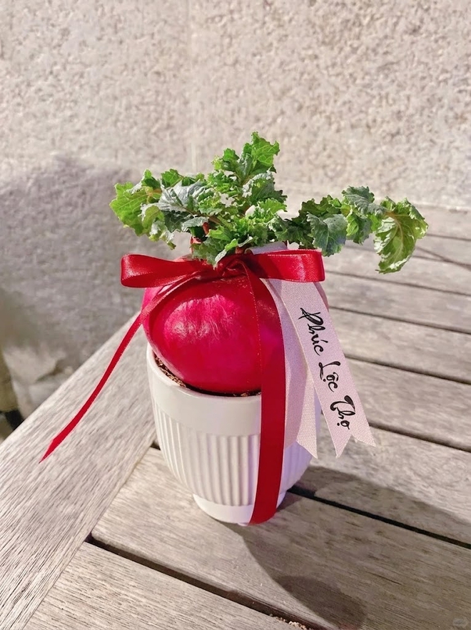 Trend lạ đón Tết: Ra chợ mua củ cải đỏ về cắm bình, ai ngờ thành chậu "Hồng Vận Đương Đầu" hút lộc cực xinh!- Ảnh 9. Trend lạ đón Tết: Ra chợ mua củ cải đỏ về cắm bình, ai ngờ thành chậu "Hồng Vận Đương Đầu" hút lộc cực xinh!- Ảnh 9.