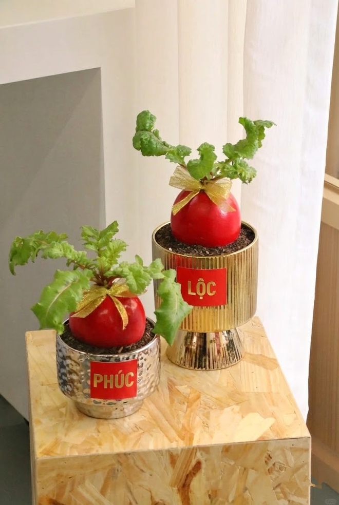 Trend lạ đón Tết: Ra chợ mua củ cải đỏ về cắm bình, ai ngờ thành chậu "Hồng Vận Đương Đầu" hút lộc cực xinh!- Ảnh 10. Trend lạ đón Tết: Ra chợ mua củ cải đỏ về cắm bình, ai ngờ thành chậu "Hồng Vận Đương Đầu" hút lộc cực xinh!- Ảnh 10.