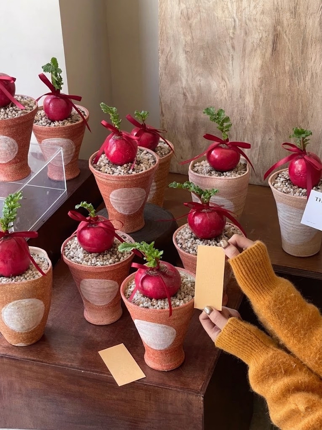 Trend lạ đón Tết: Ra chợ mua củ cải đỏ về cắm bình, ai ngờ thành chậu "Hồng Vận Đương Đầu" hút lộc cực xinh!- Ảnh 2. Trend lạ đón Tết: Ra chợ mua củ cải đỏ về cắm bình, ai ngờ thành chậu "Hồng Vận Đương Đầu" hút lộc cực xinh!- Ảnh 2.