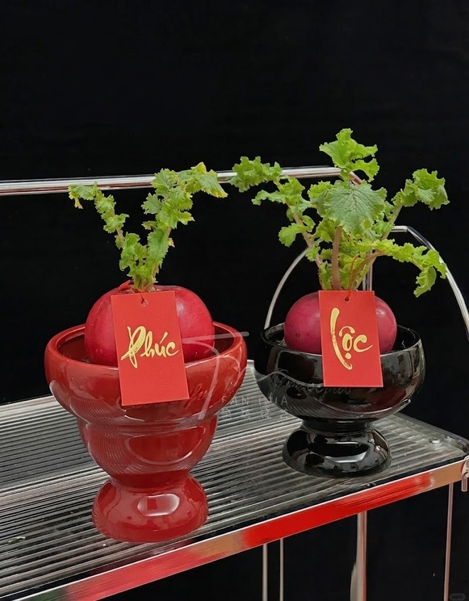Trend lạ đón Tết: Ra chợ mua củ cải đỏ về cắm bình, ai ngờ thành chậu "Hồng Vận Đương Đầu" hút lộc cực xinh!- Ảnh 8. Trend lạ đón Tết: Ra chợ mua củ cải đỏ về cắm bình, ai ngờ thành chậu "Hồng Vận Đương Đầu" hút lộc cực xinh!- Ảnh 8.
